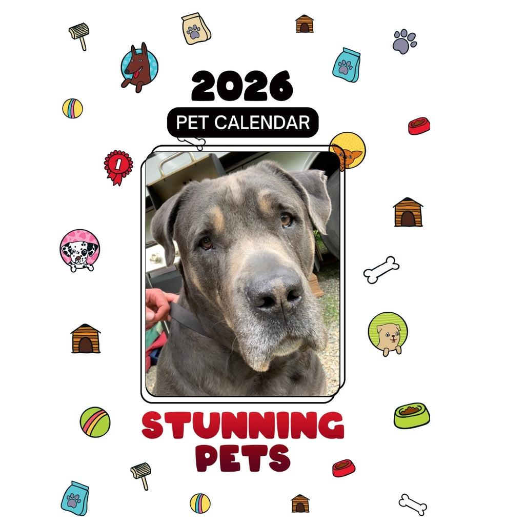 Italian Bull Mastiff Headlines Stunning Pets: A 2026 Pet Calendar