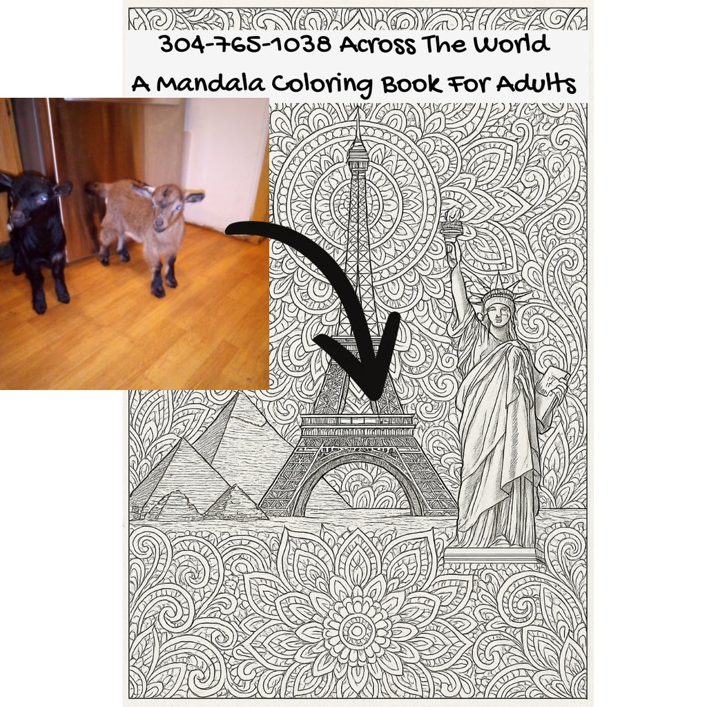 304-765-1038 Across The World: A Mandala Coloring Book For Adults