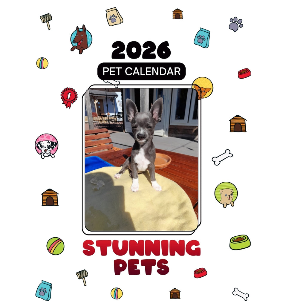 1 Headlines Stunning Pets: A 2026 Pet Calendar