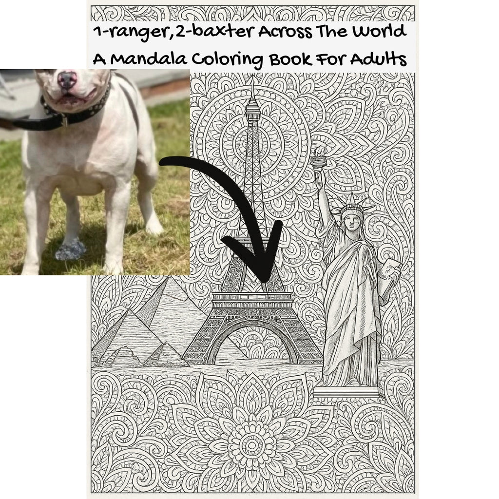 1-ranger,2-baxter Across The World: A Mandala Coloring Book For Adults