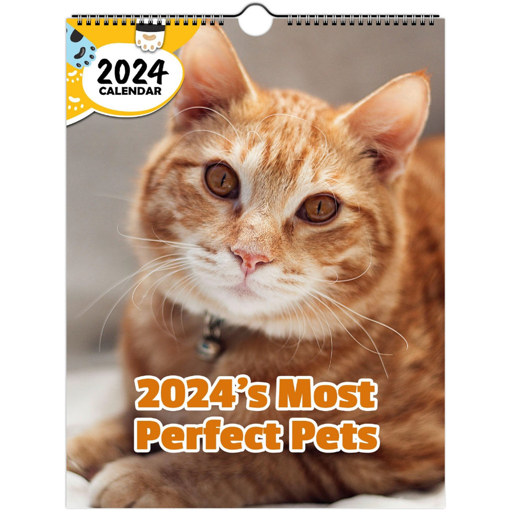 2024's Most Perfect Pets: 2024 Wall Calendar (Published)