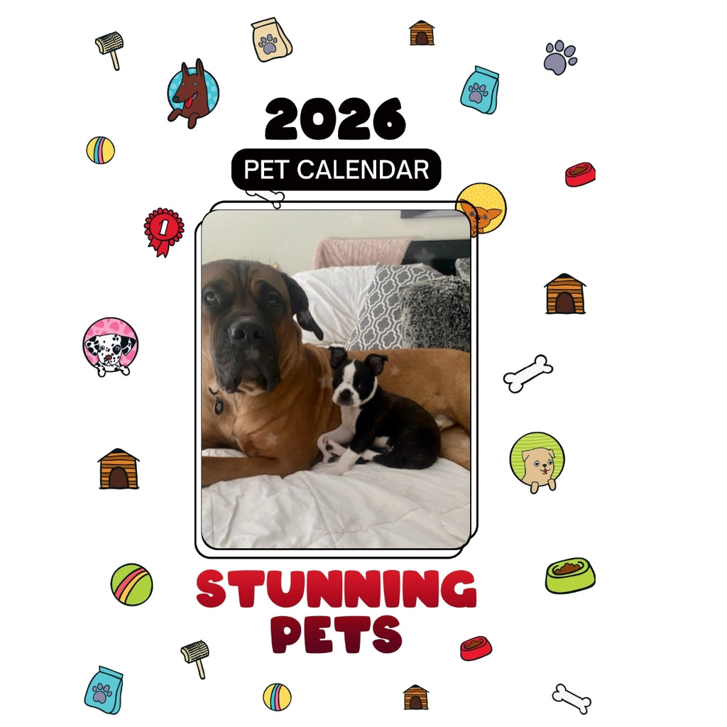 2 pets Headlines Stunning Pets: A 2026 Pet Calendar