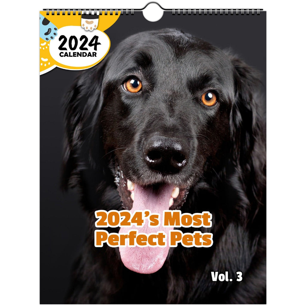 2024's Most Perfect Pets Volume Three: 2024 Wall Calendar (Published)