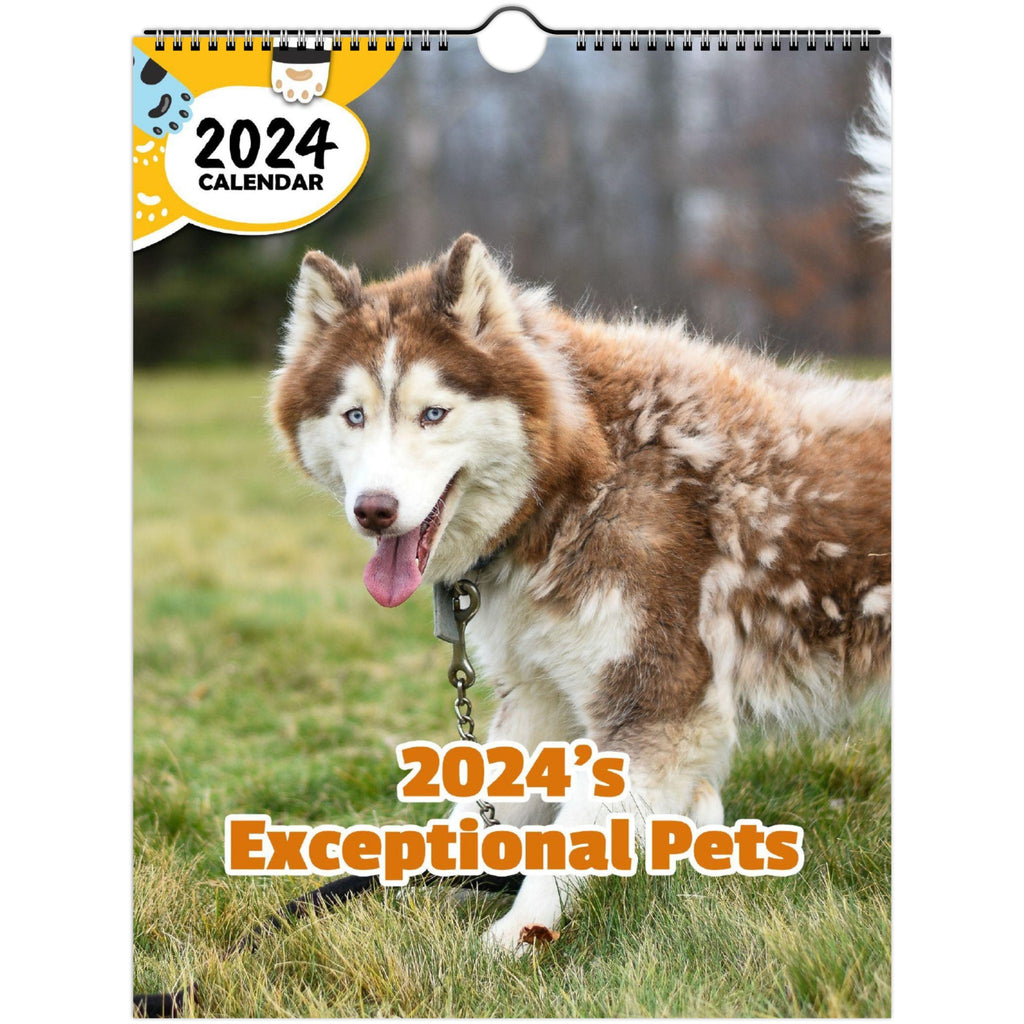 2024's Exceptional Pets: 2024 Wall Calendar (Published)
