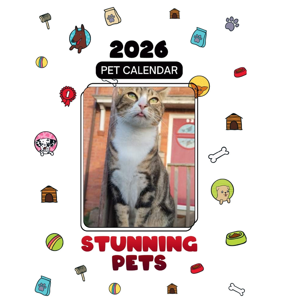 1 Headlines Stunning Pets: A 2026 Pet Calendar