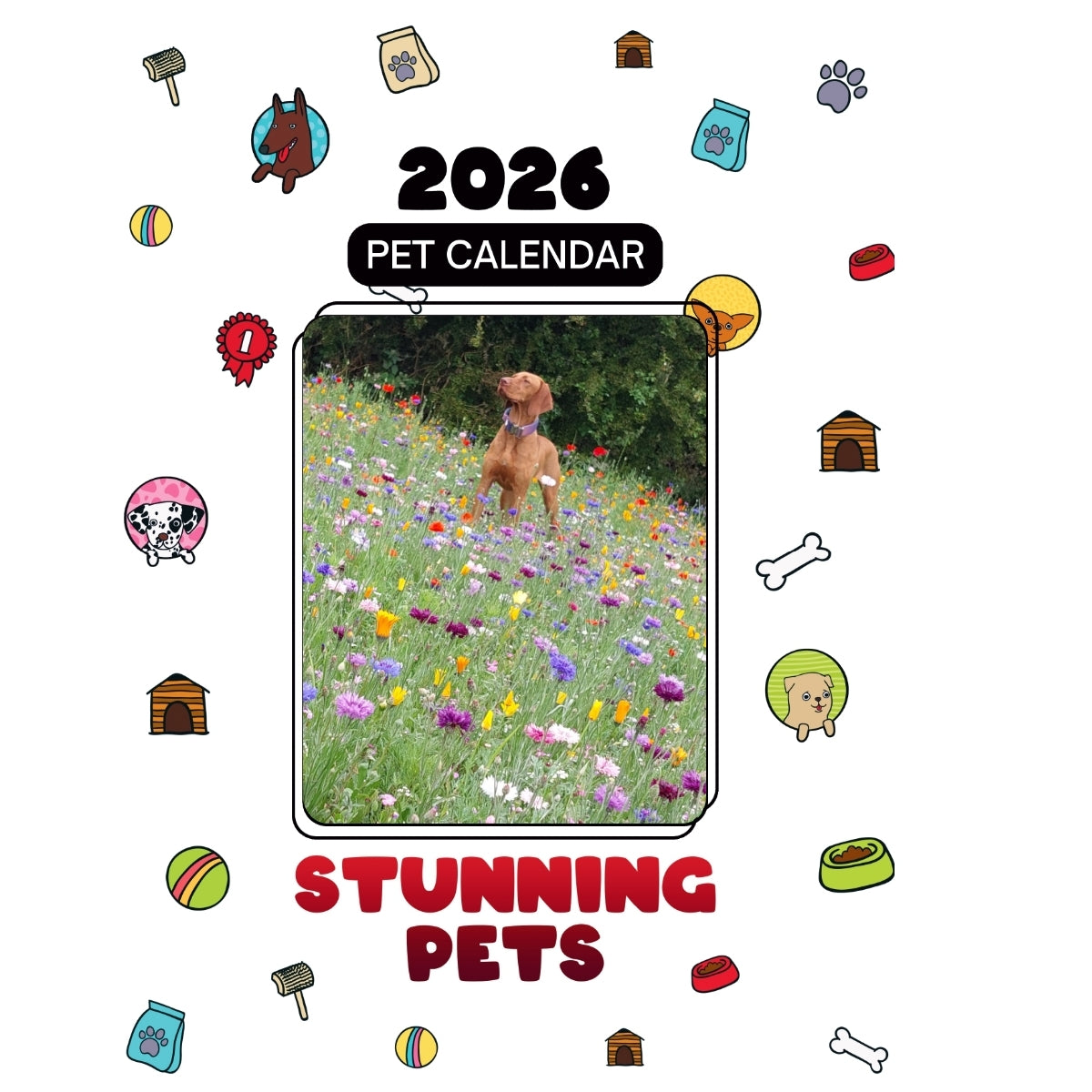 Mila Headlines Stunning Pets: A 2026 Pet Calendar