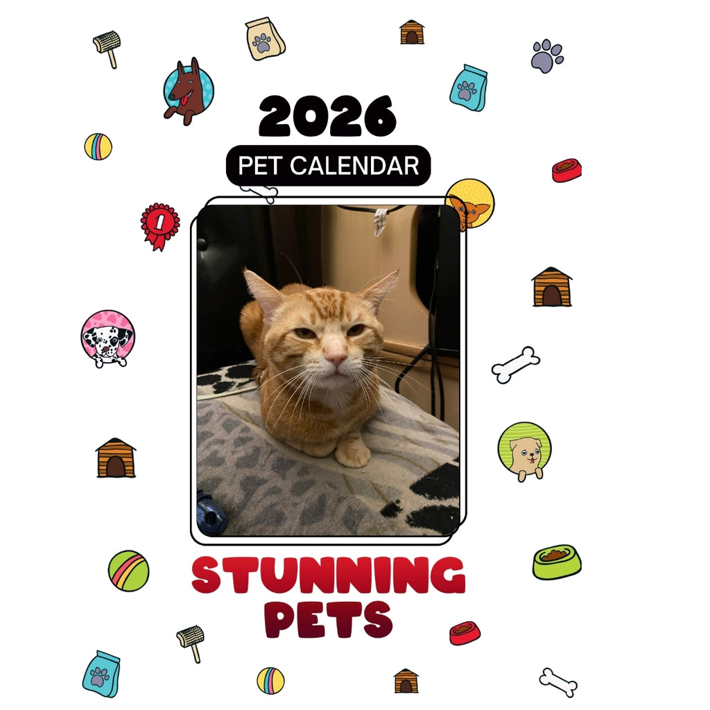 187 Gizmo Headlines Stunning Pets: A 2026 Pet Calendar