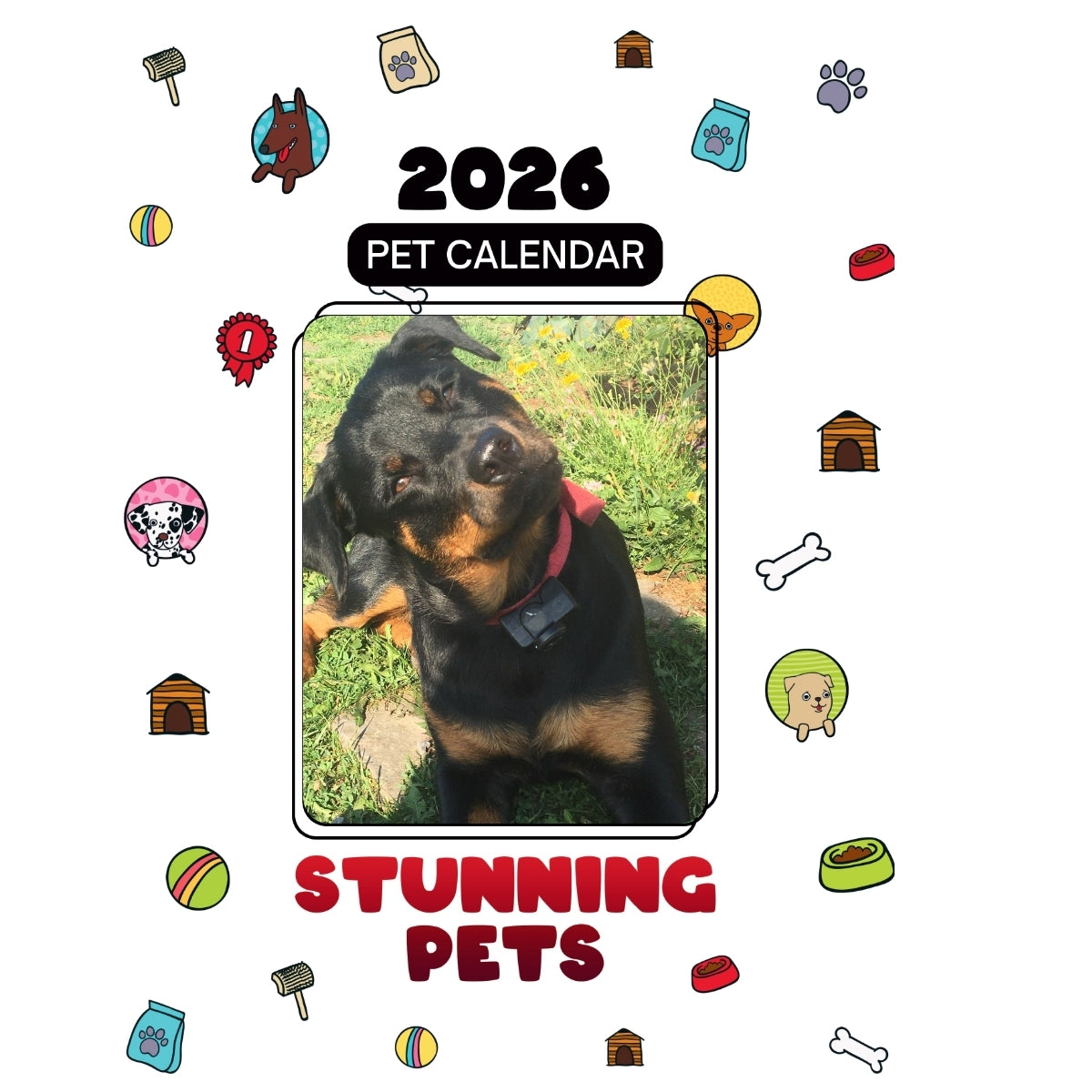 1 Headlines Stunning Pets: A 2026 Pet Calendar
