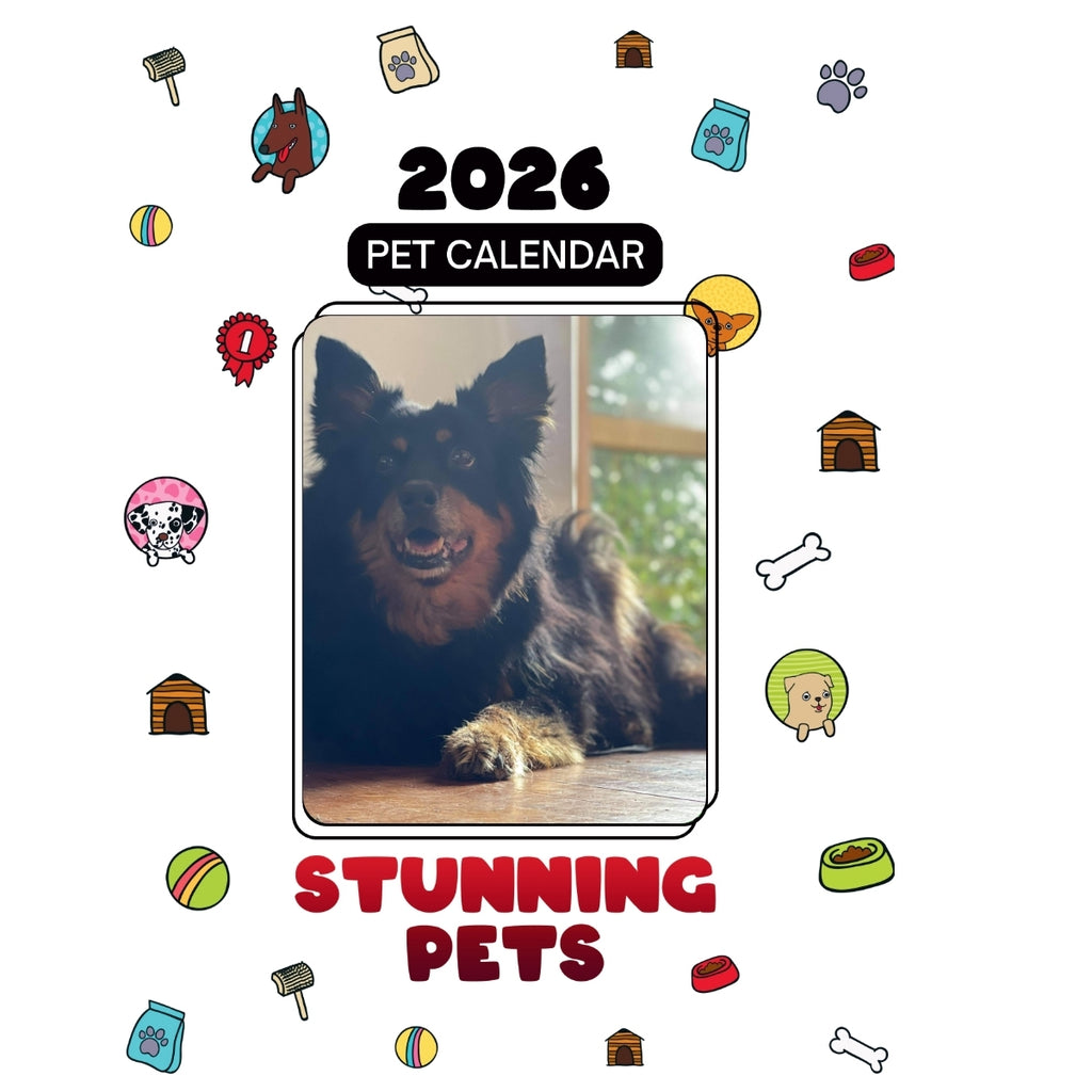 1 Headlines Stunning Pets: A 2026 Pet Calendar