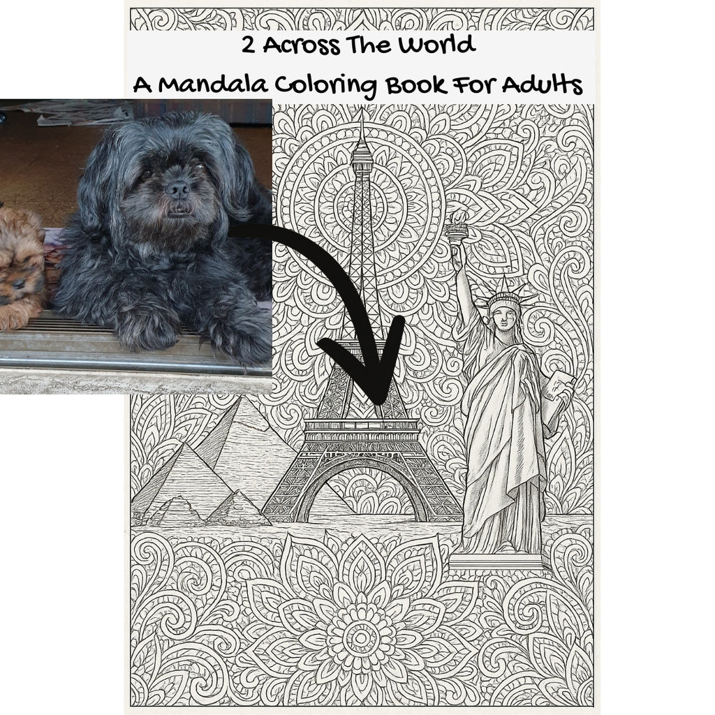 2 Across The World: A Mandala Coloring Book For Adults