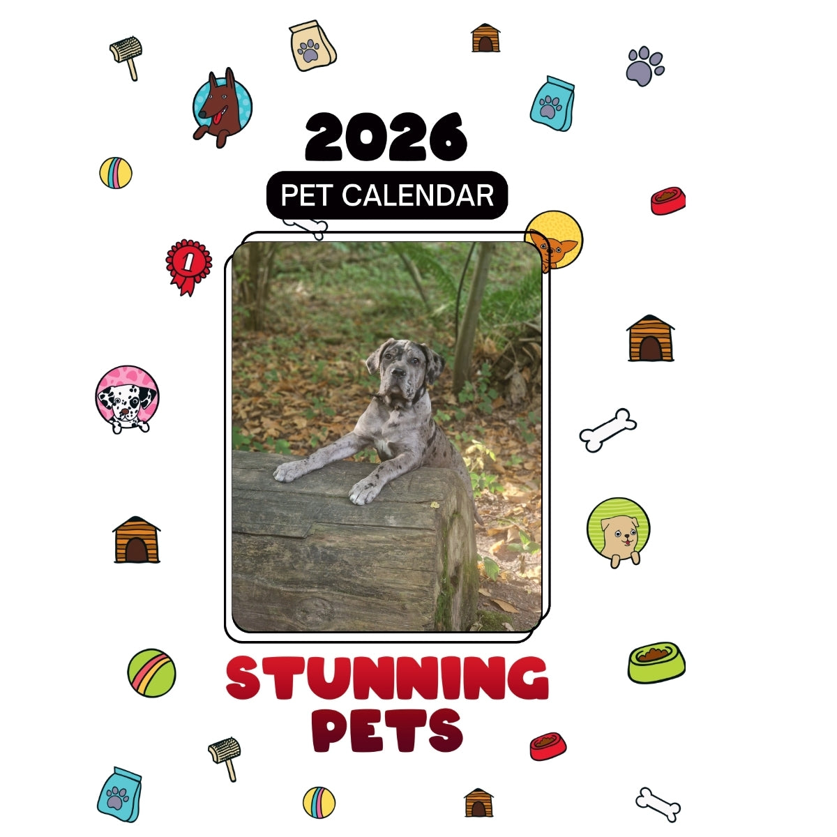 4D Headlines Stunning Pets: A 2026 Pet Calendar