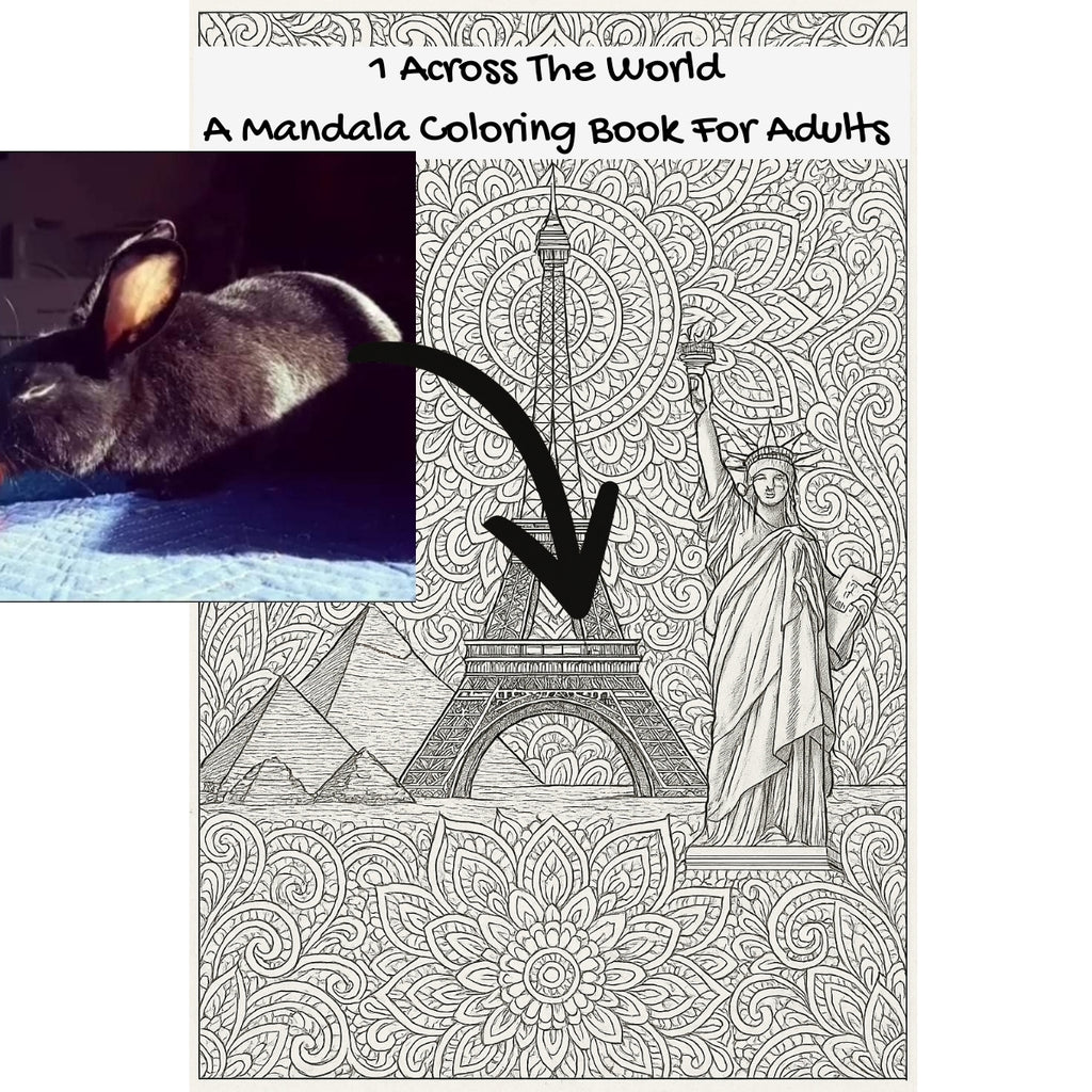 1 Across The World: A Mandala Coloring Book For Adults