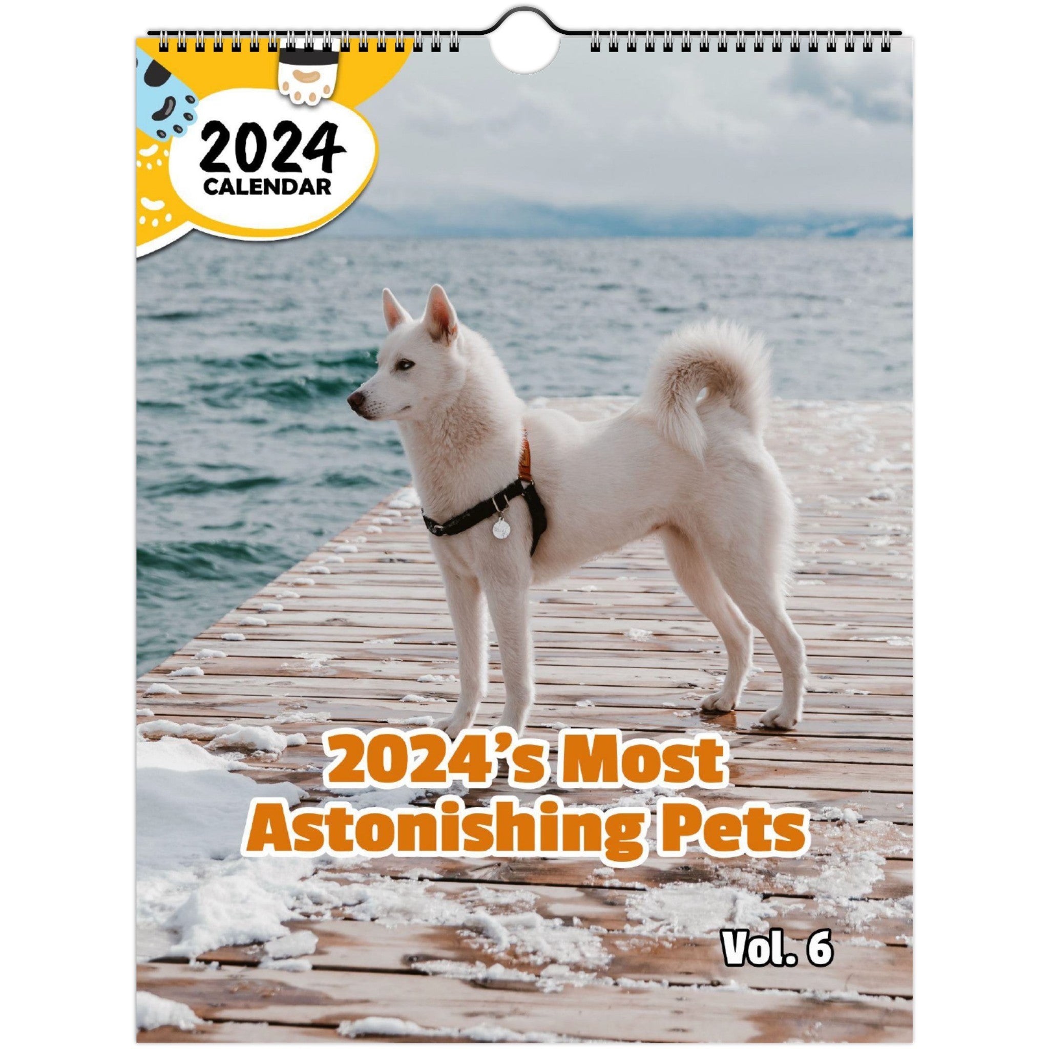 2024's Most Astonishing Pets Volume Six: 2024 Wall Calendar (Published)