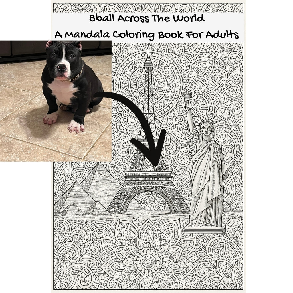 8ball Across The World: A Mandala Coloring Book For Adults