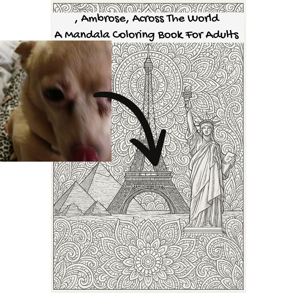 , Ambrose, Across The World: A Mandala Coloring Book For Adults