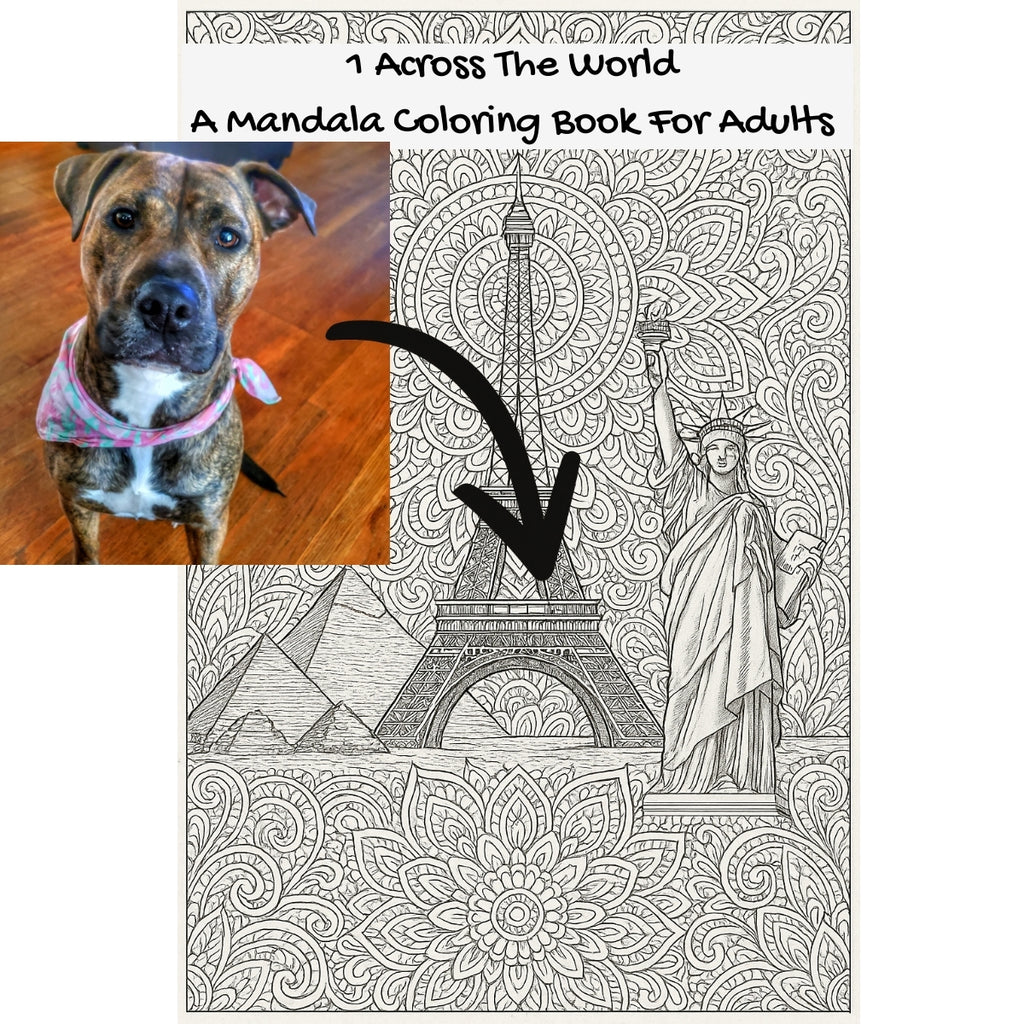 1 Across The World: A Mandala Coloring Book For Adults