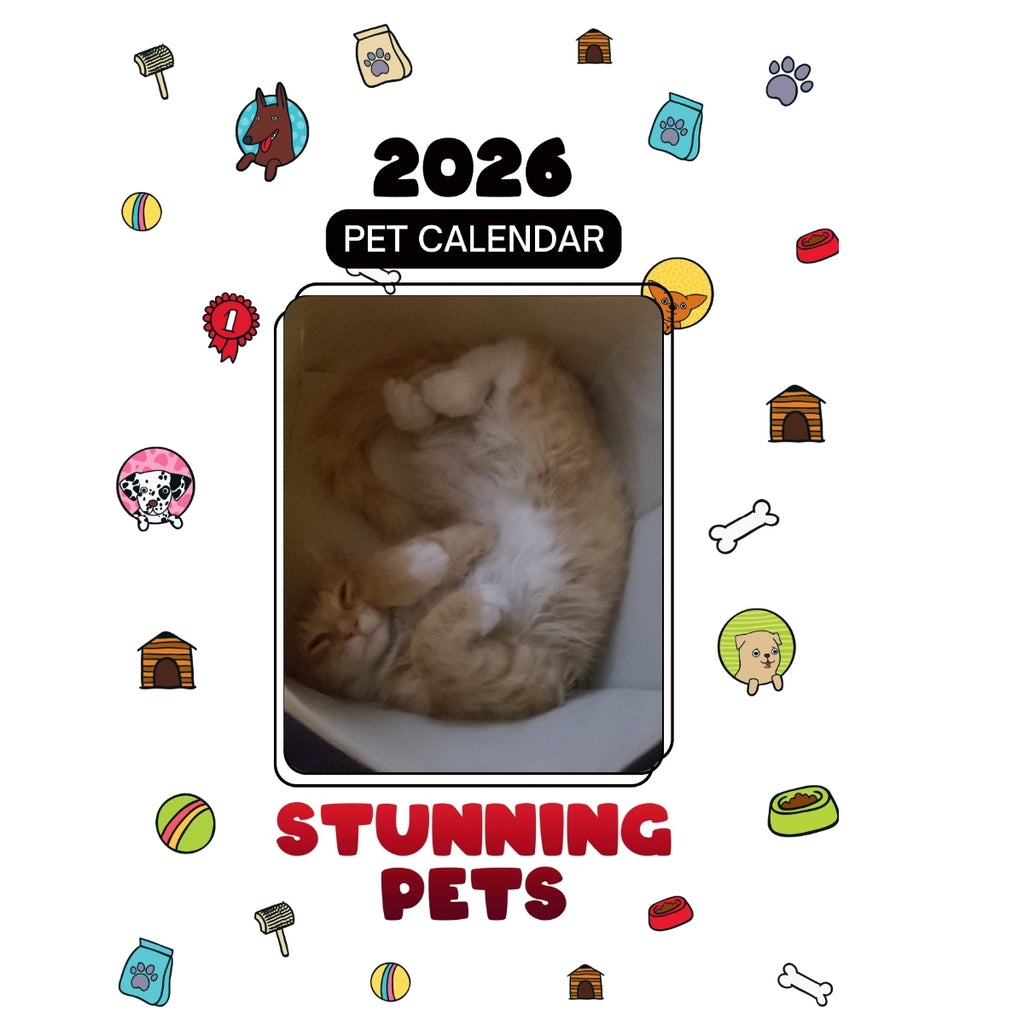 Ferret Headlines Stunning Pets: A 2026 Pet Calendar