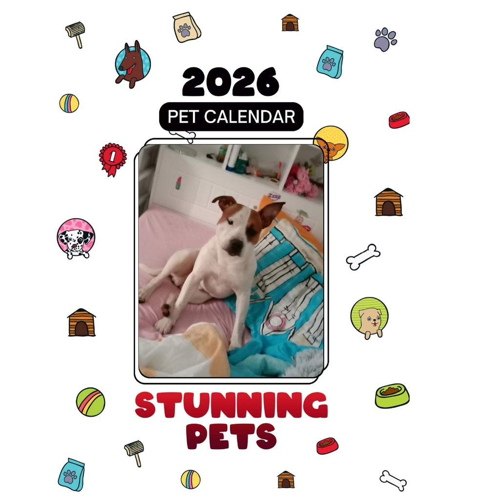1 Headlines Stunning Pets: A 2026 Pet Calendar