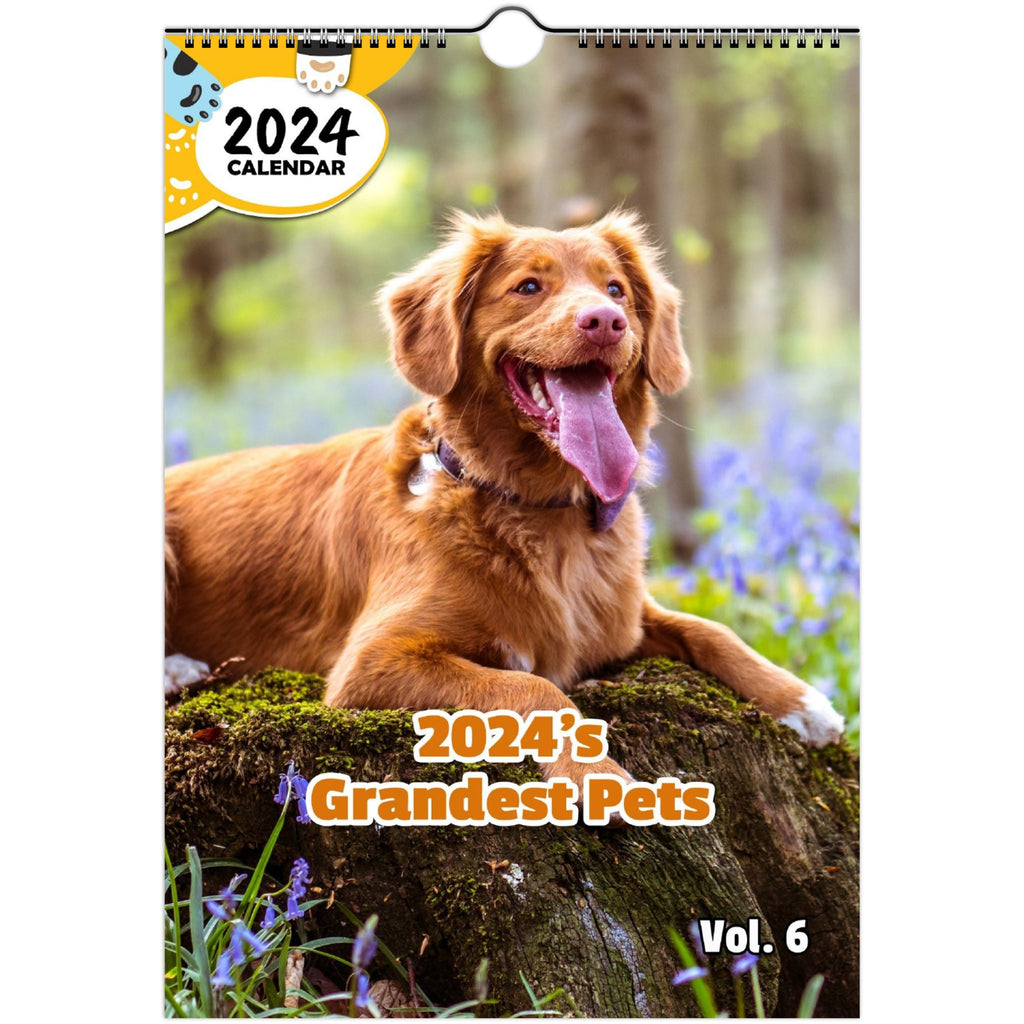 2024's Grandest Pets Volume Six: 2024 Wall Calendar (Published)