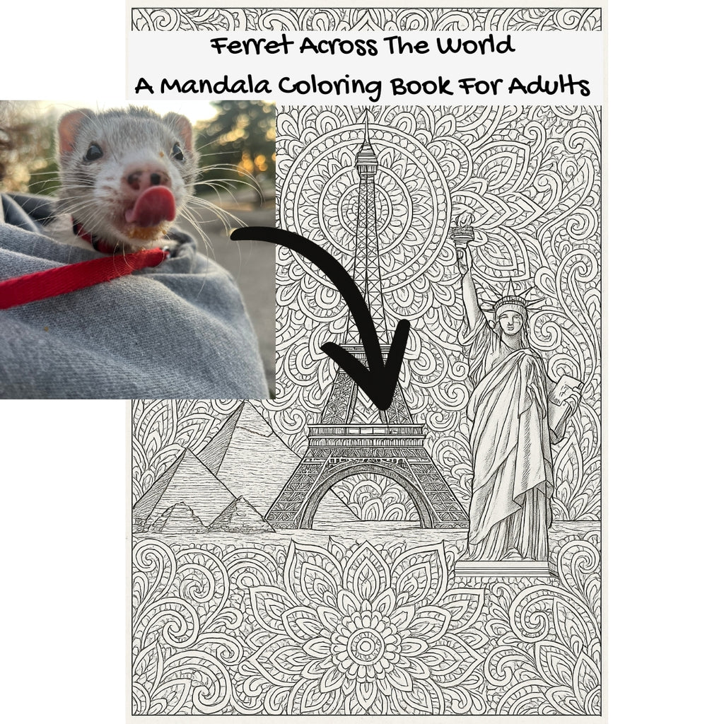 Ferret Across The World: A Mandala Coloring Book For Adults