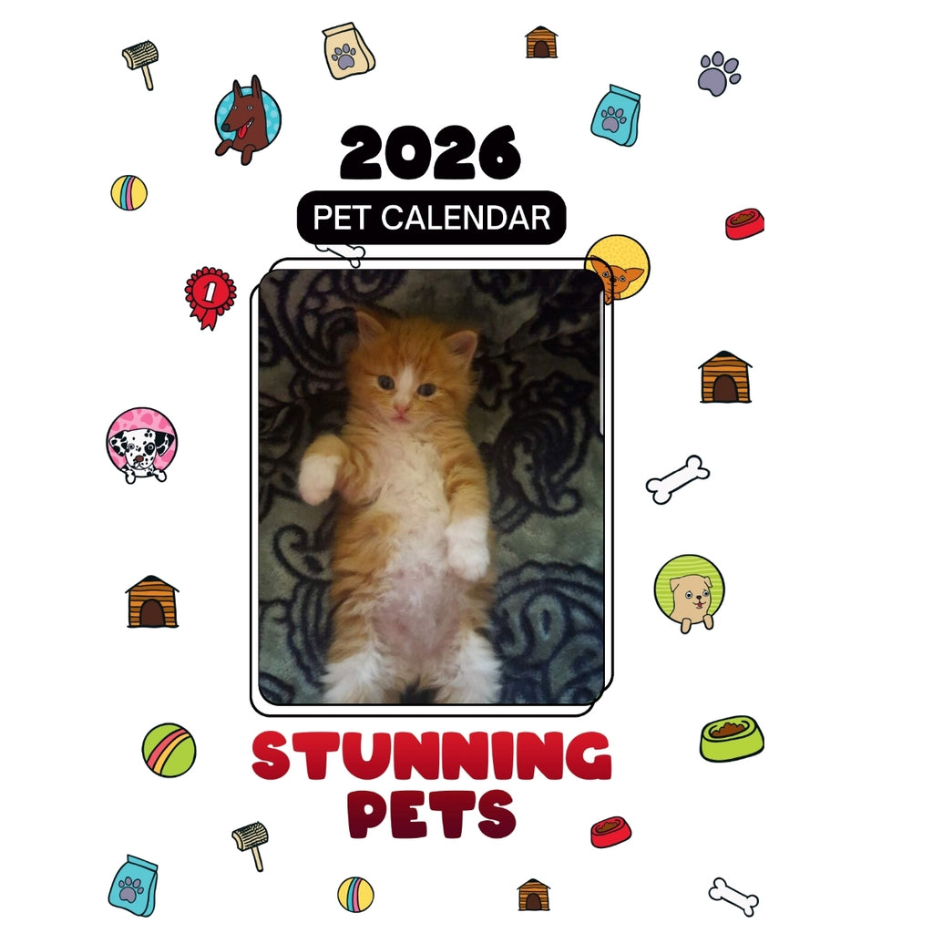 Maine Coons Headlines Stunning Pets: A 2026 Pet Calendar
