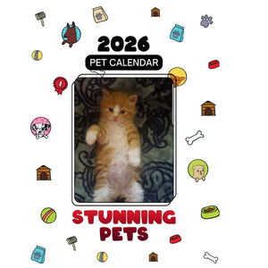 Maine Coons Headlines Stunning Pets: A 2026 Pet Calendar