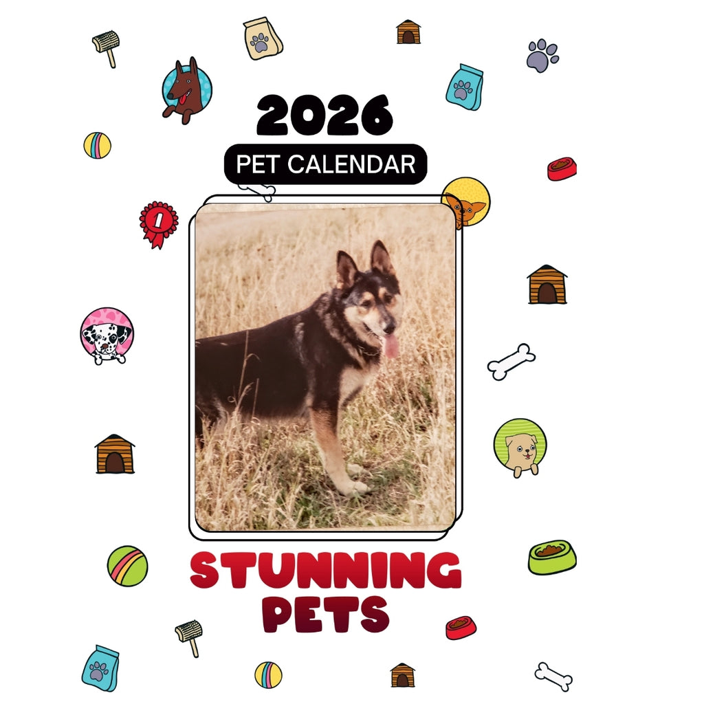 100% German Shepherd Headlines Stunning Pets: A 2026 Pet Calendar