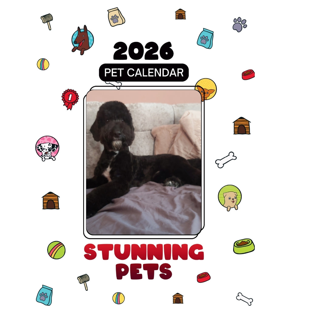 1 Headlines Stunning Pets: A 2026 Pet Calendar