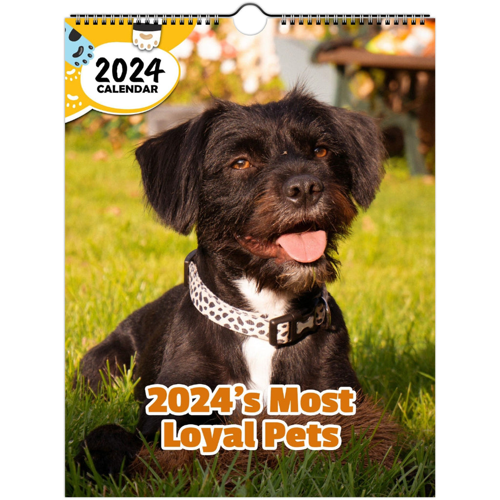 2024's Most Loyal Pets: 2024 Wall Calendar (Published)