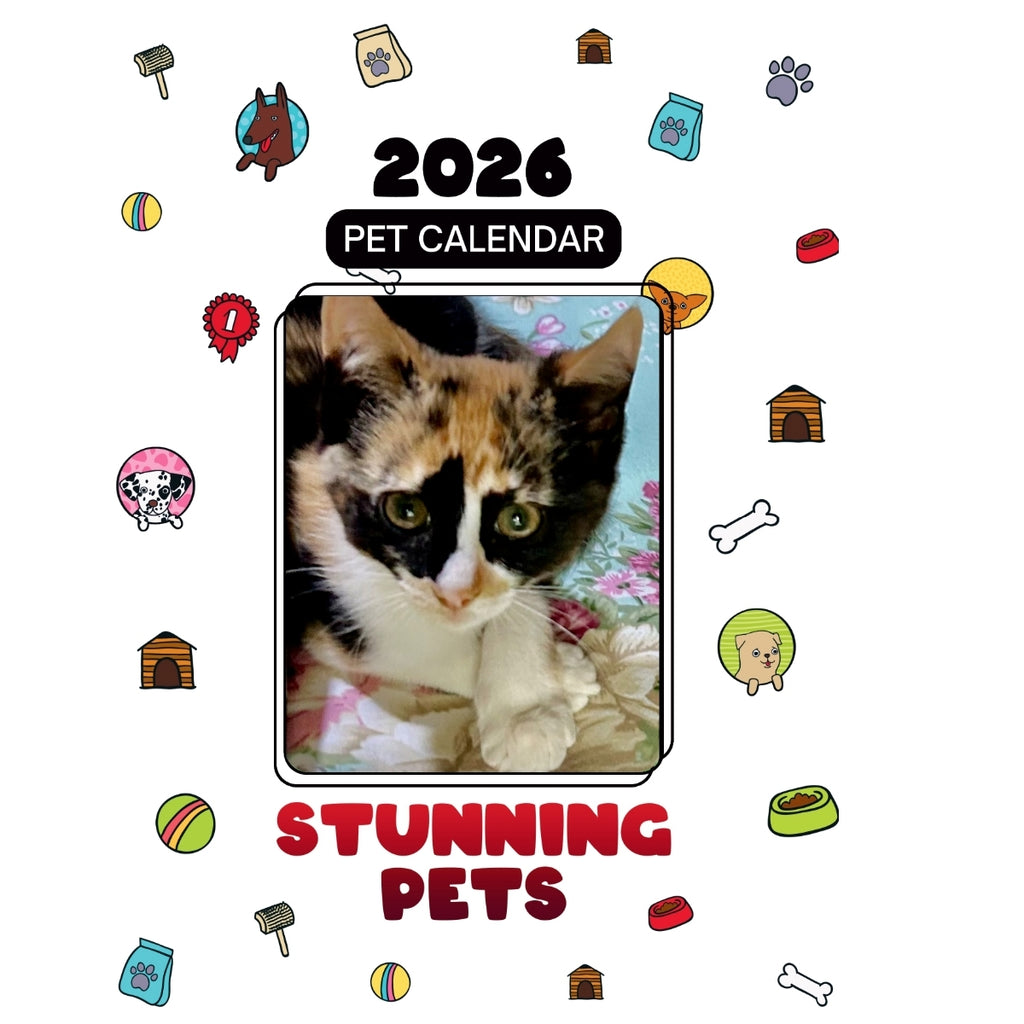 2 Kittens Together Headlines Stunning Pets: A 2026 Pet Calendar