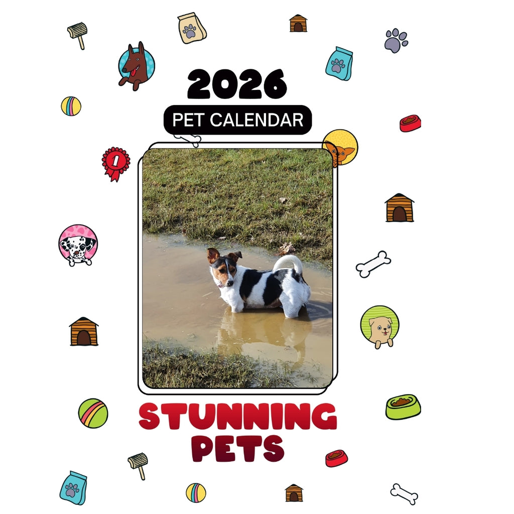 1 Headlines Stunning Pets: A 2026 Pet Calendar