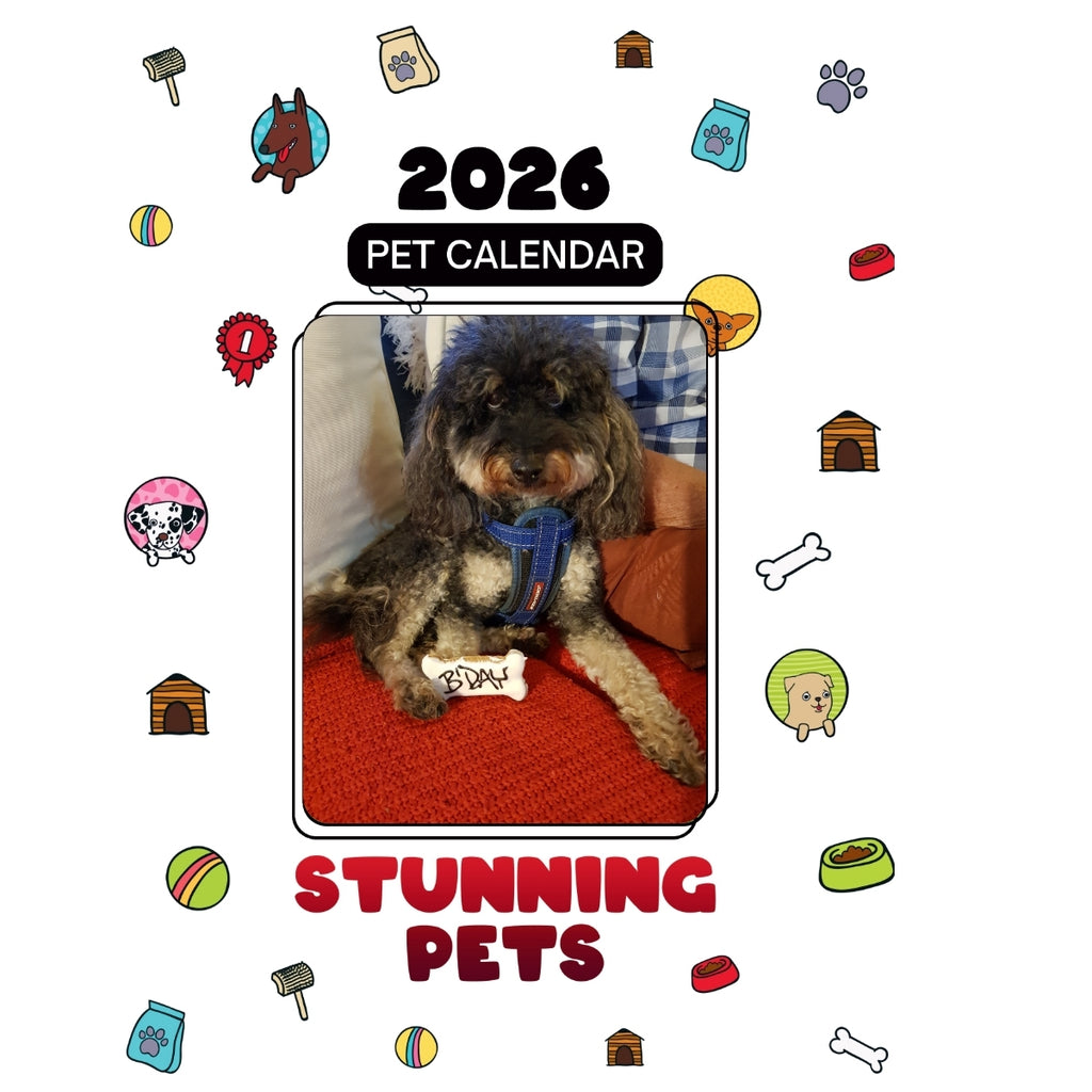 1 Headlines Stunning Pets: A 2026 Pet Calendar