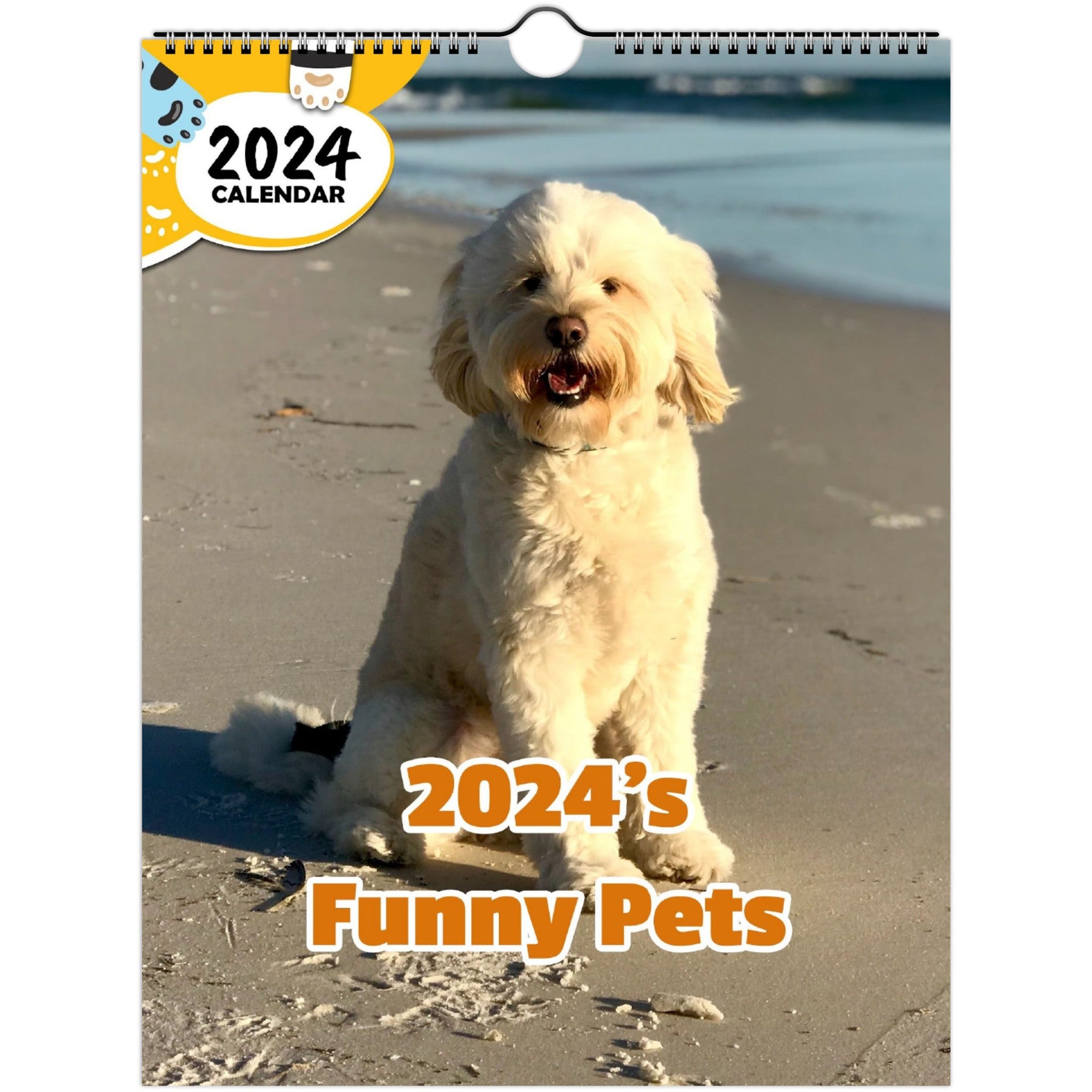 2024's Funny Pets: 2024 Wall Calendar (Published)