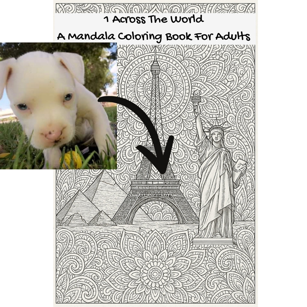 1 Across The World: A Mandala Coloring Book For Adults