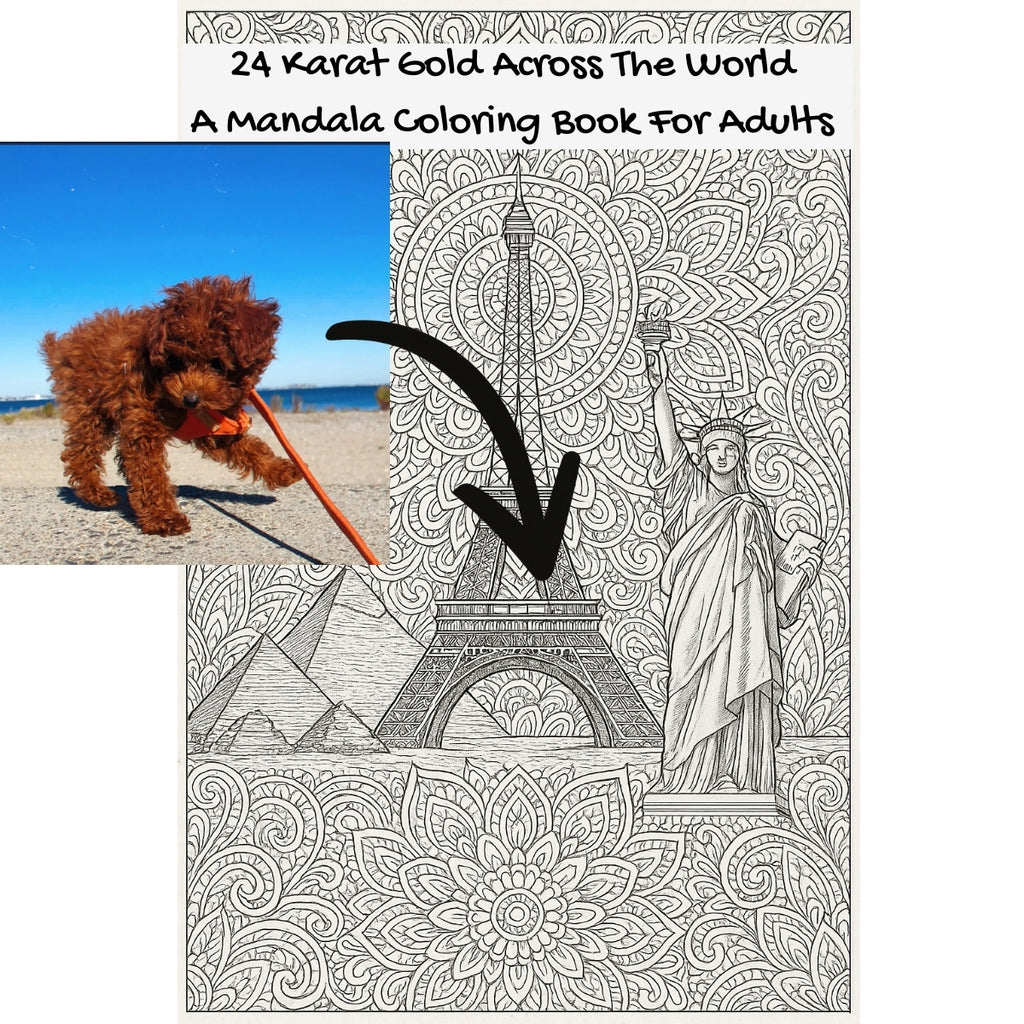24 Karat Gold Across The World: A Mandala Coloring Book For Adults