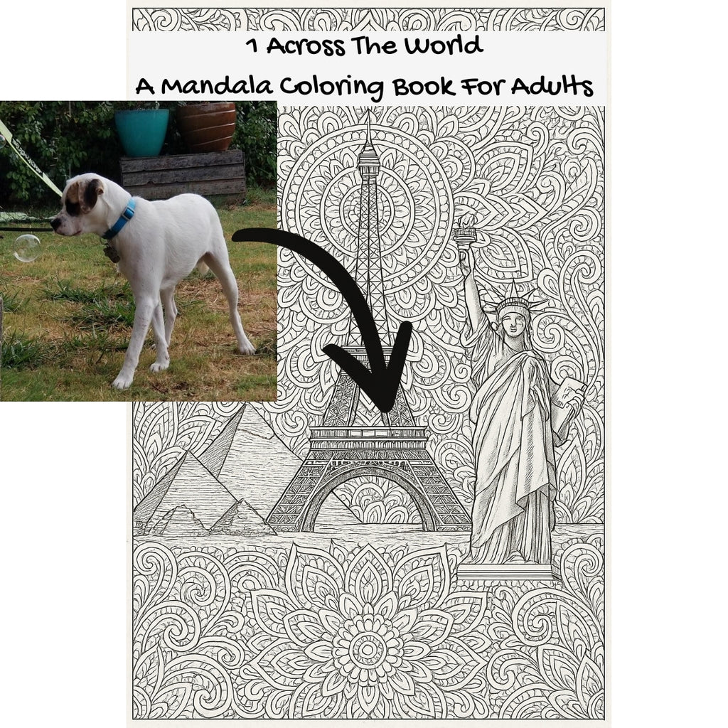 1 Across The World: A Mandala Coloring Book For Adults