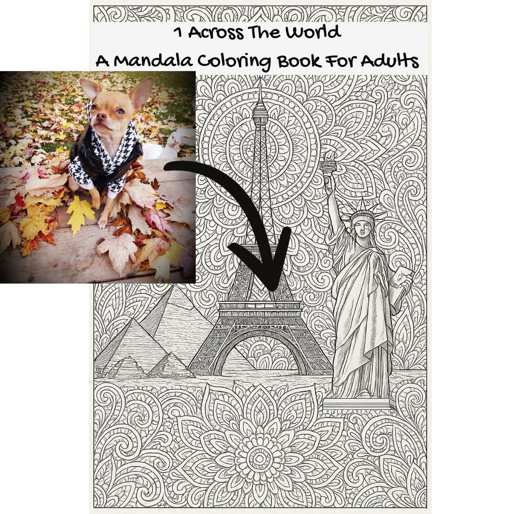 1 Across The World: A Mandala Coloring Book For Adults