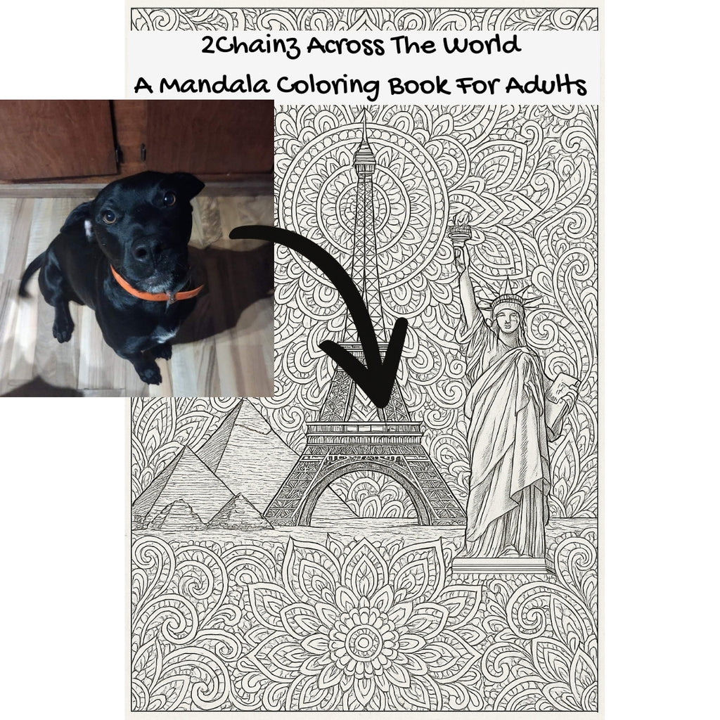 2Chainz Across The World: A Mandala Coloring Book For Adults
