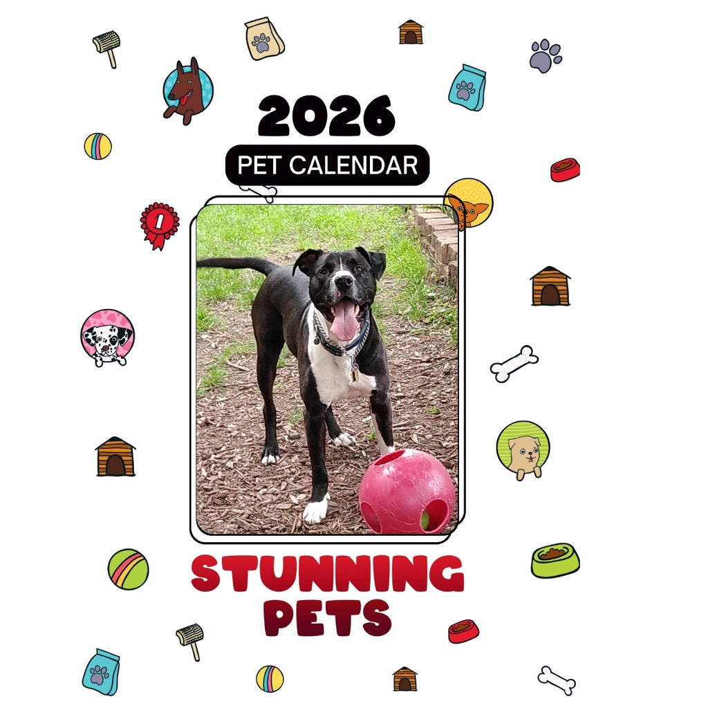 313-759-4217 Headlines Stunning Pets: A 2026 Pet Calendar