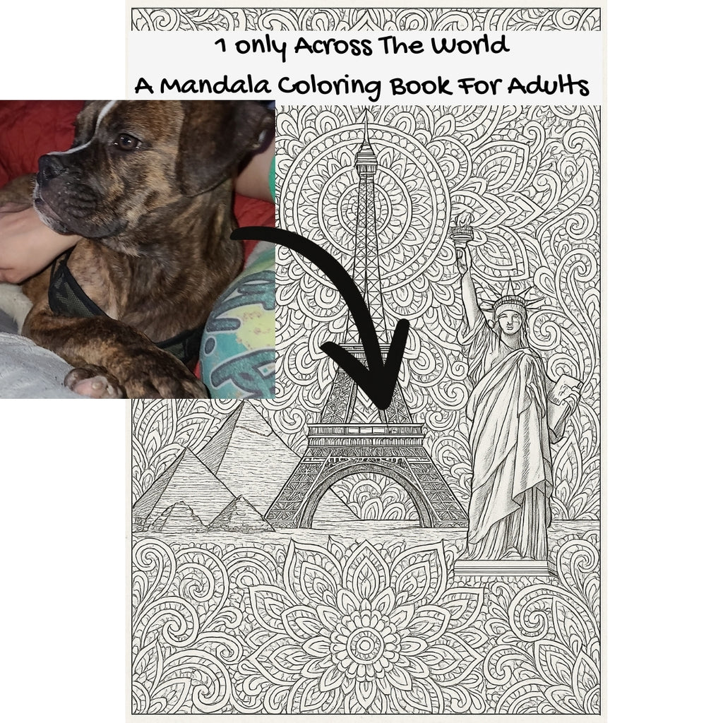 1 only Across The World: A Mandala Coloring Book For Adults