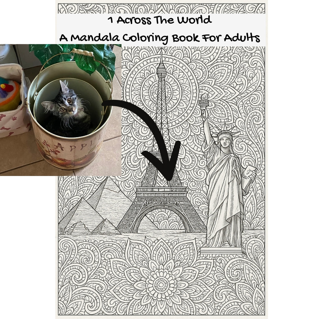 1 Across The World: A Mandala Coloring Book For Adults