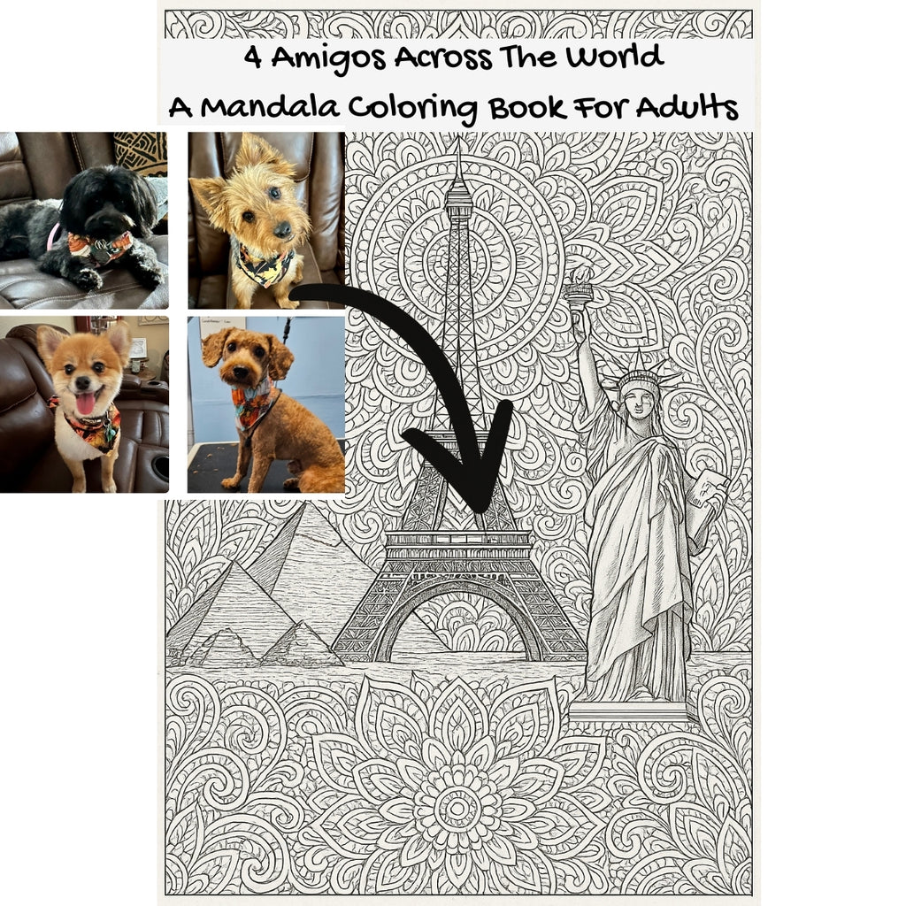 4 Amigos Across The World: A Mandala Coloring Book For Adults