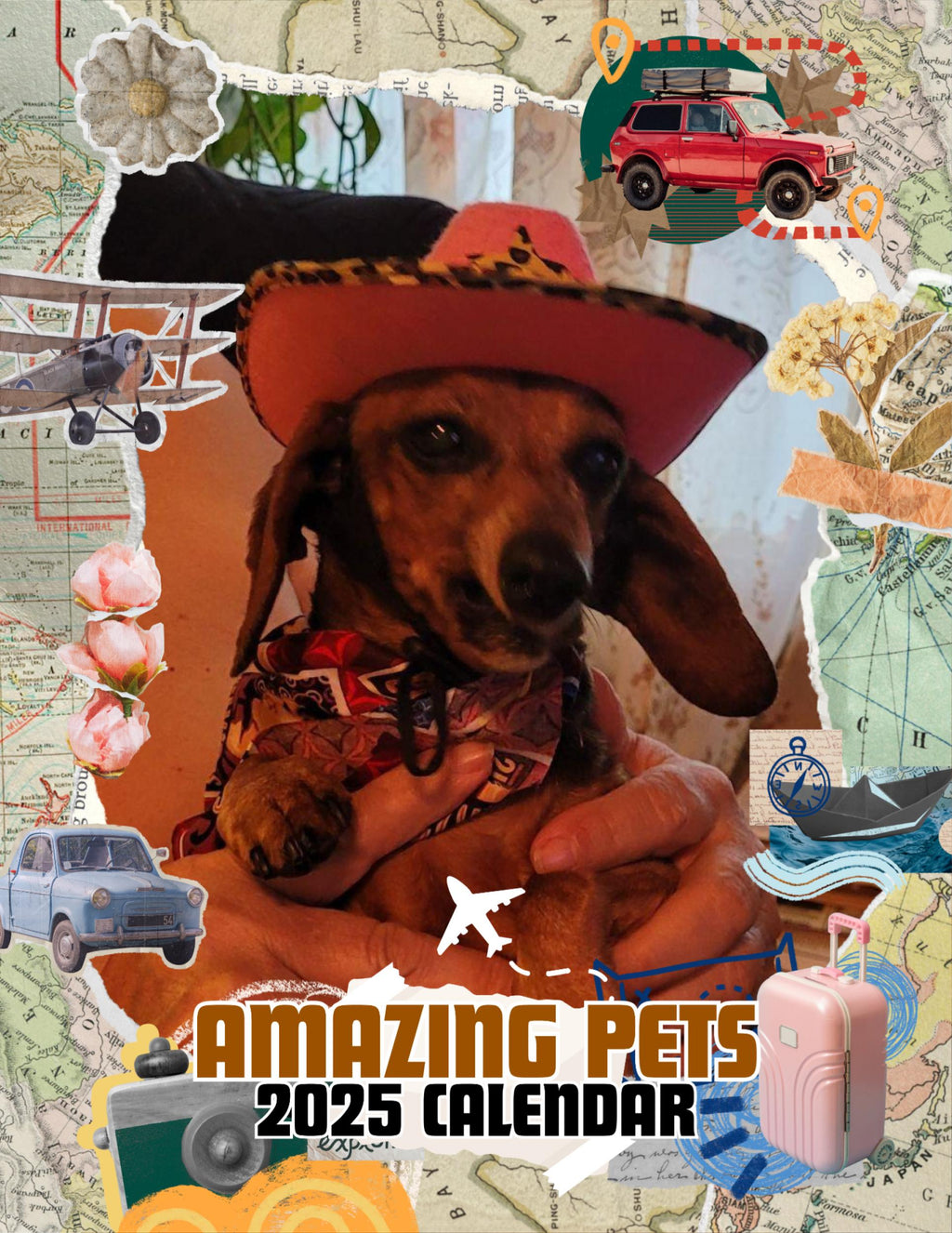 Amazing Pets: 2025 Wall Calendar (Pre-Order)
