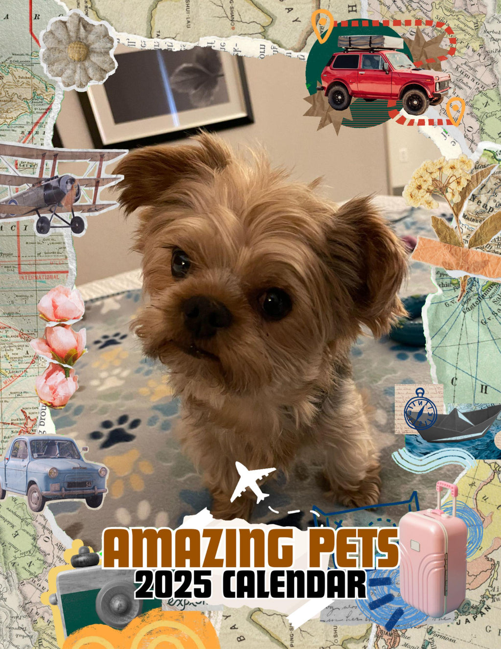 Amazing Pets: 2025 Wall Calendar (Pre-Order)