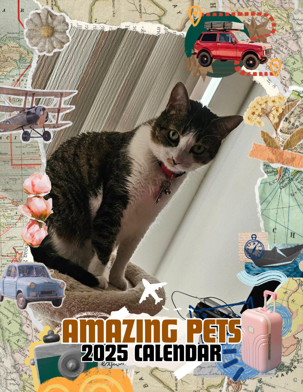 Amazing Pets: 2025 Wall Calendar (Pre-Order)