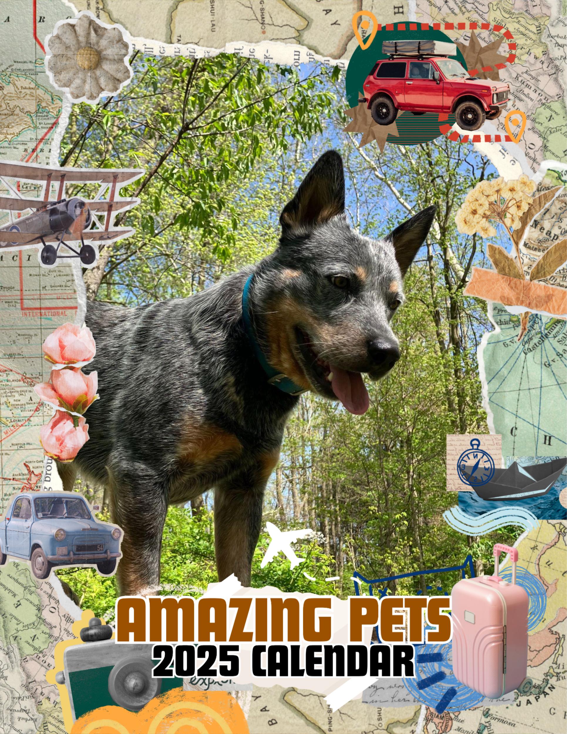 Amazing Pets: 2025 Wall Calendar (Pre-Order)