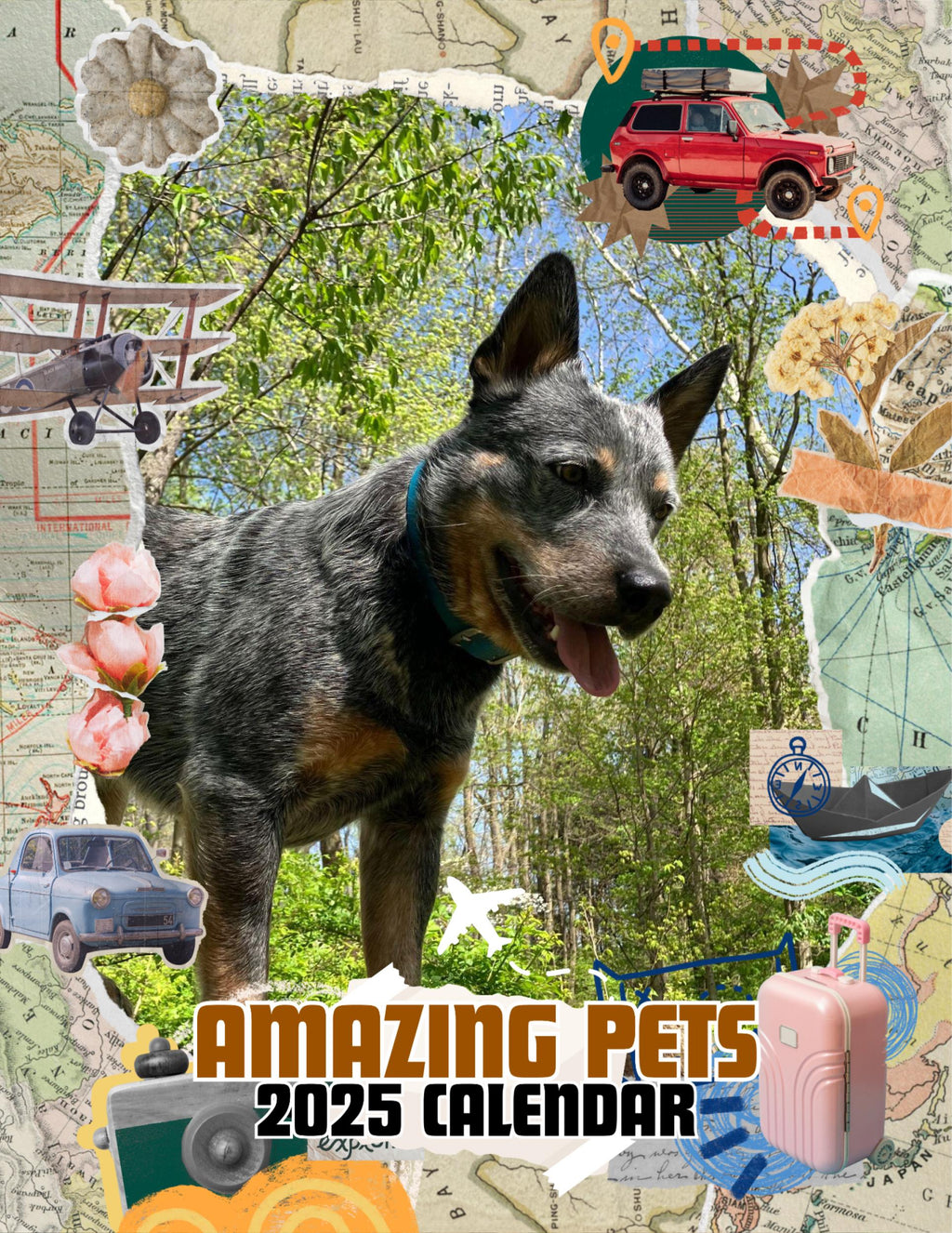 Amazing Pets: 2025 Wall Calendar (Pre-Order)