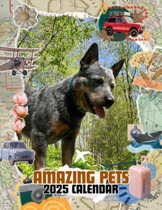 Amazing Pets: 2025 Wall Calendar (Pre-Order)