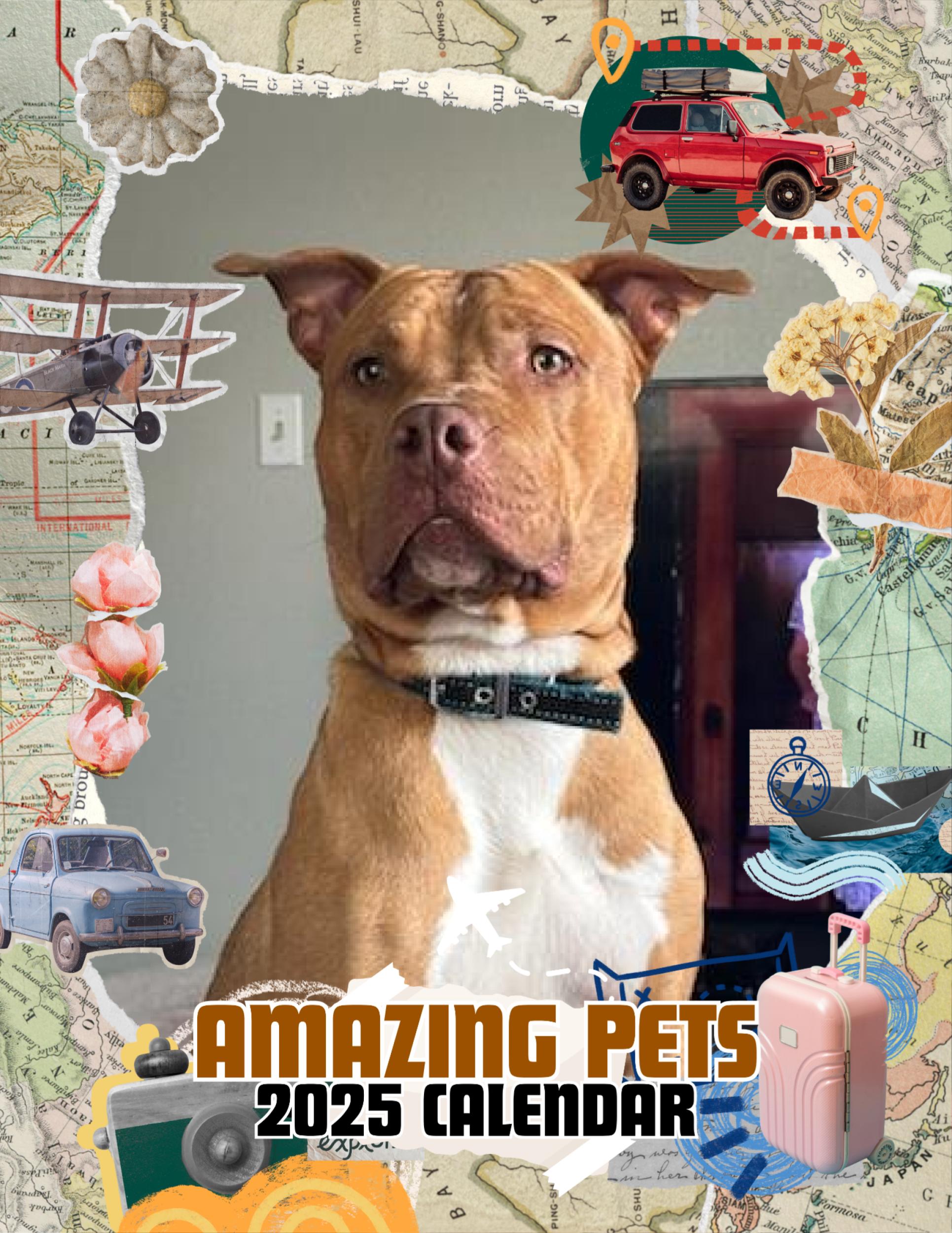 Amazing Pets: 2025 Wall Calendar (Pre-Order)
