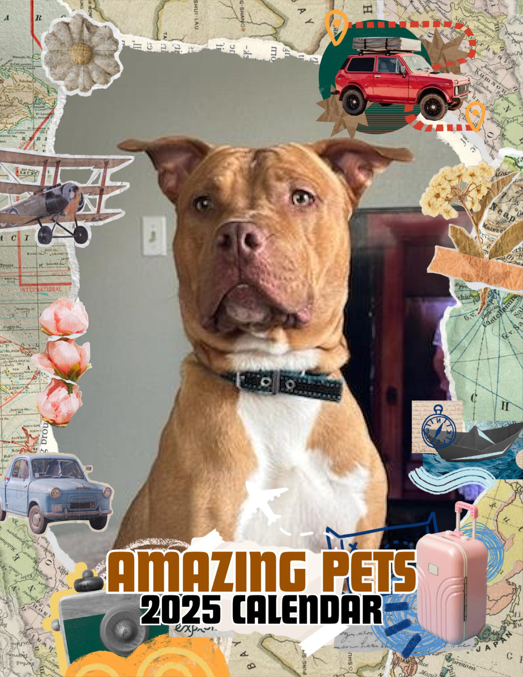 Amazing Pets: 2025 Wall Calendar (Pre-Order)